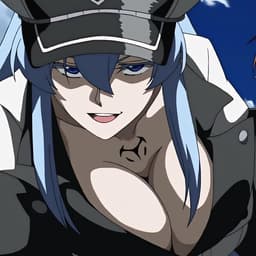 Esdeath Akamegakill 