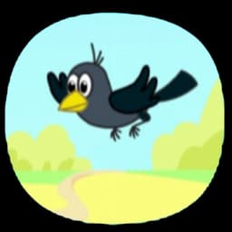 Baby Jackdaw the bird