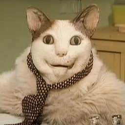 Boo was scared don't be afraid