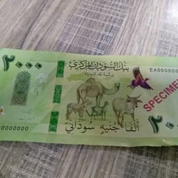 صوت مروه الدولية 