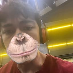 GREGÓRIO MISTERGLADSET