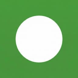 Chaz (Virtual Virtual Reality)