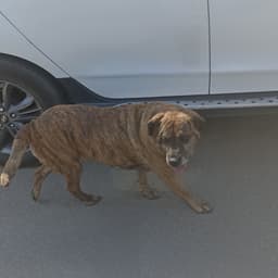 كريستيانو رونالدو في 