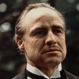 Don Vito Corleone (The Godfather)
