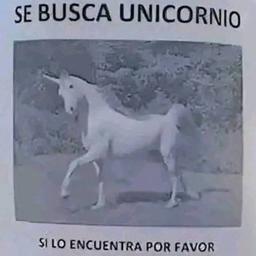 Mariano closs
