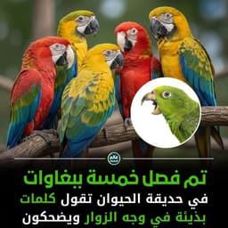 ليلى