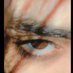 فاطه الحمصي