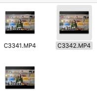 品慧茶业-公司介绍女