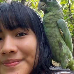 Dj kikito Acosta produções 