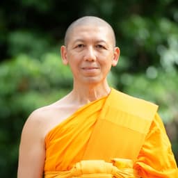 The Pharaoh - Old Storyteller