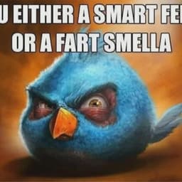 Locutor Cartoon Network LA (CHECK IT 1.0/3.0)