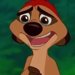 Timon