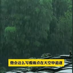 雷妈