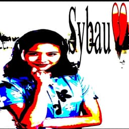 Shelby Woo (The Mystery Files of Shelby Woo) V2