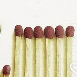 Universal matured voice 