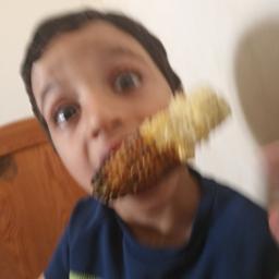 مهاب