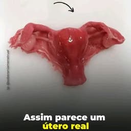 Mariza voz saudável 