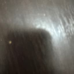 My own voice for the man