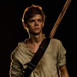 Newt