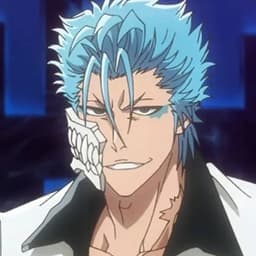 Grimmjow BR V2