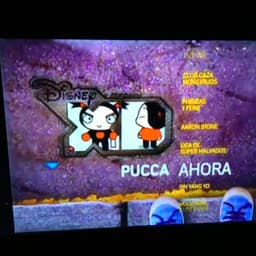 Latin America Disney XD Announcer (2009-2010)