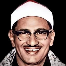 محمد صديق المنشاوي 