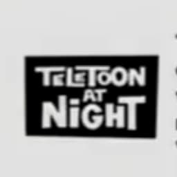 Teletoon At Night Announcer - (2009-2019)