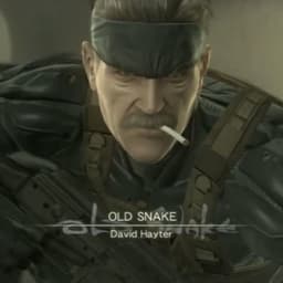 Old Snake