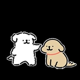 25.05.27男博主一万块的iPhone