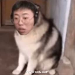 要下播的善良狂魔哥