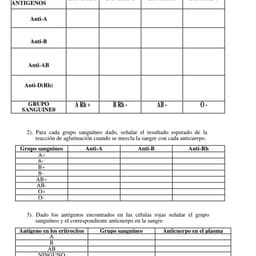 Marlene Mariel Cuevas Hernández