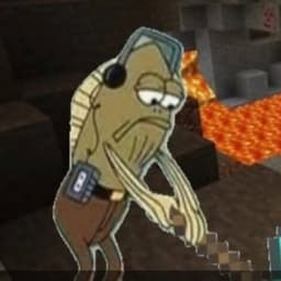 Williams Carlos Laime alave