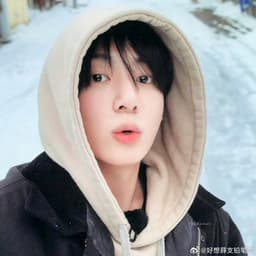 最后一个田柾国