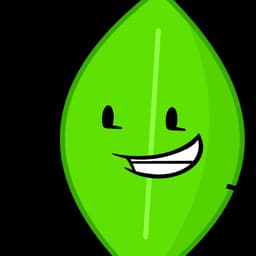 Leafy (BFDI)