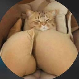 PTT-20250627-WA016.opus 