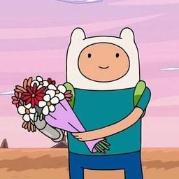 Finn el humano
