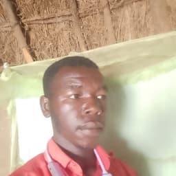 ام بسي بوليود 