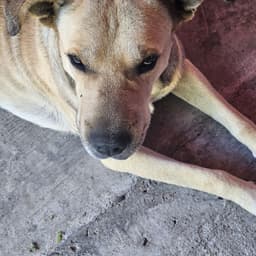 Gaby hernandez Robles 