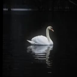 توماس شيلبي