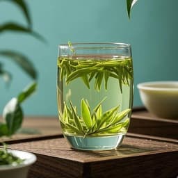 6.11白茶老头声音