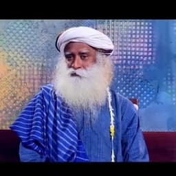 奶蓟草425新达人