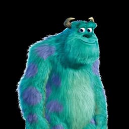 Sulley (John Goodman)
