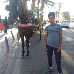 دروين