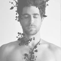 Didier Barbelivien s 