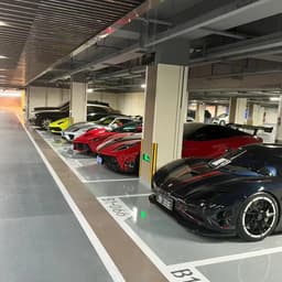 大苗姐~~经济财富6.0 节奏快 适合营销