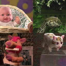 Fama Internet 31 Minutos