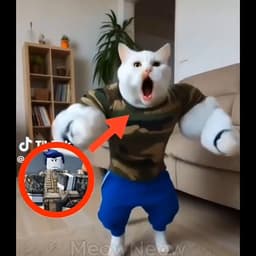 Bluudud 💯💯💯