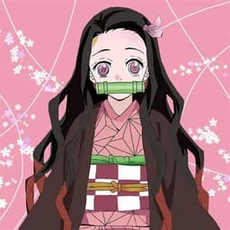 鬼滅の刃　竈門禰豆子