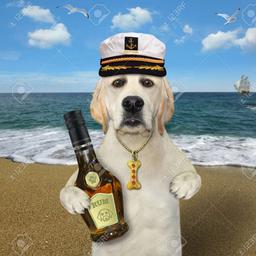 Captain boop