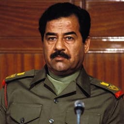 Saddam's Voice